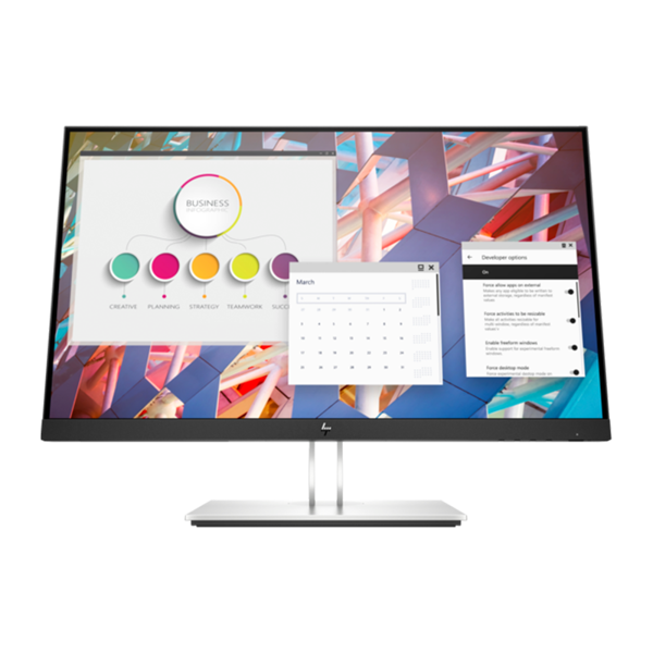 HP E24 G4 FHD Monitor